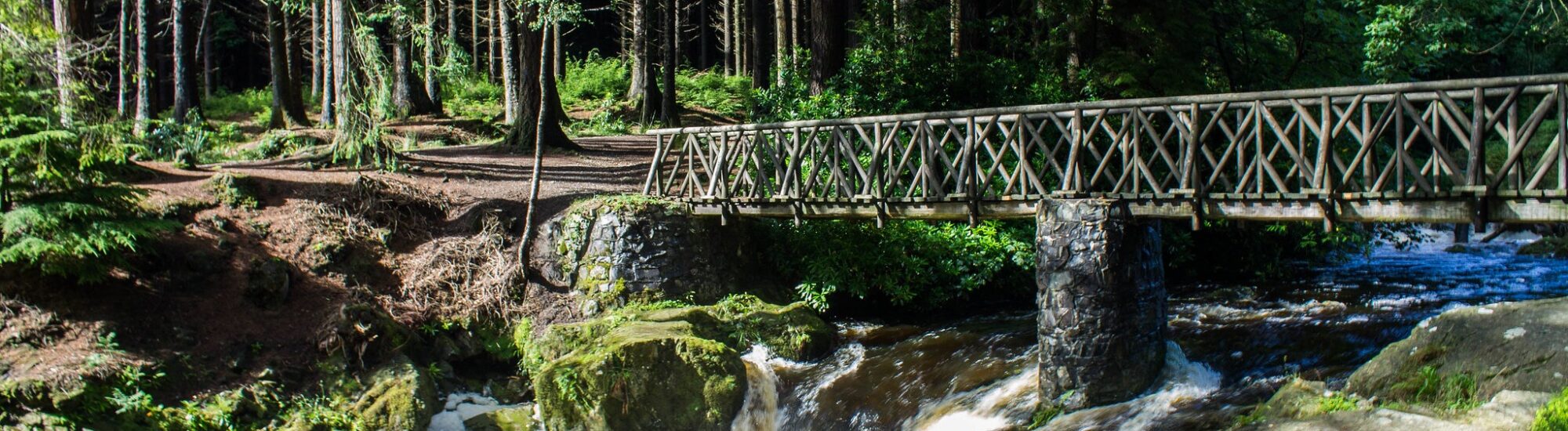 Tollymore Forest Park
