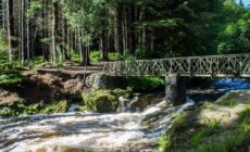 tollymore forest park 1