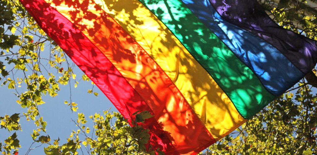 Drapeau de la gay pride - torbakhopper - cc