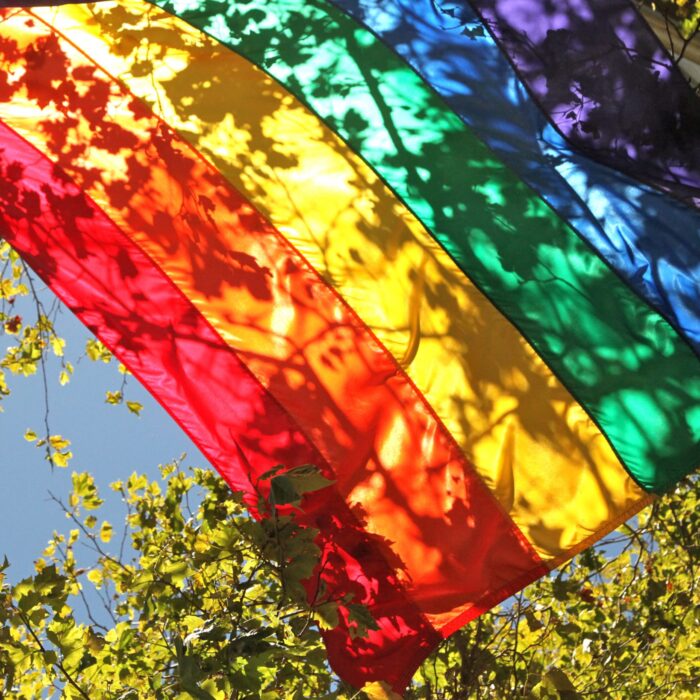 gay pride scaled