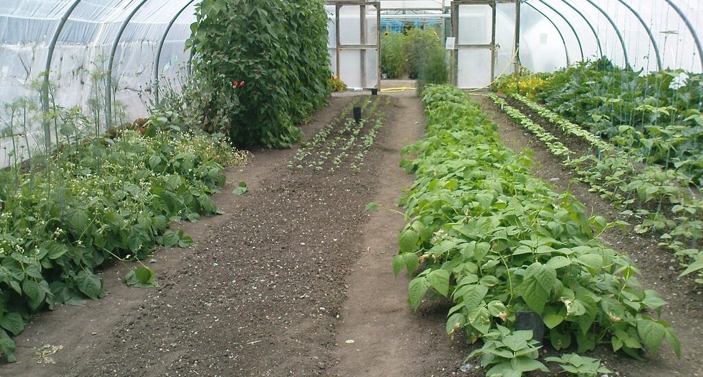 The Organic Centre by Rossinver