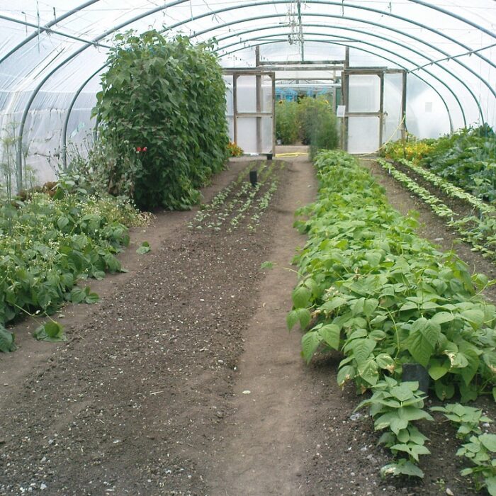 organic centre