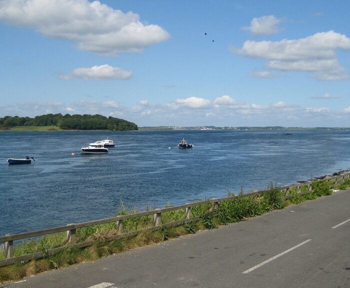 strangford lough