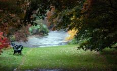 mount usher gardens
