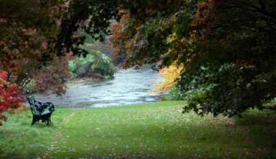 mount usher gardens