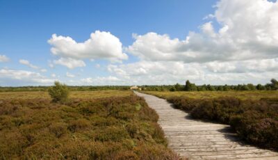 corlea bog 1