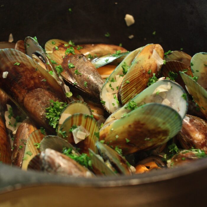 moules scaled