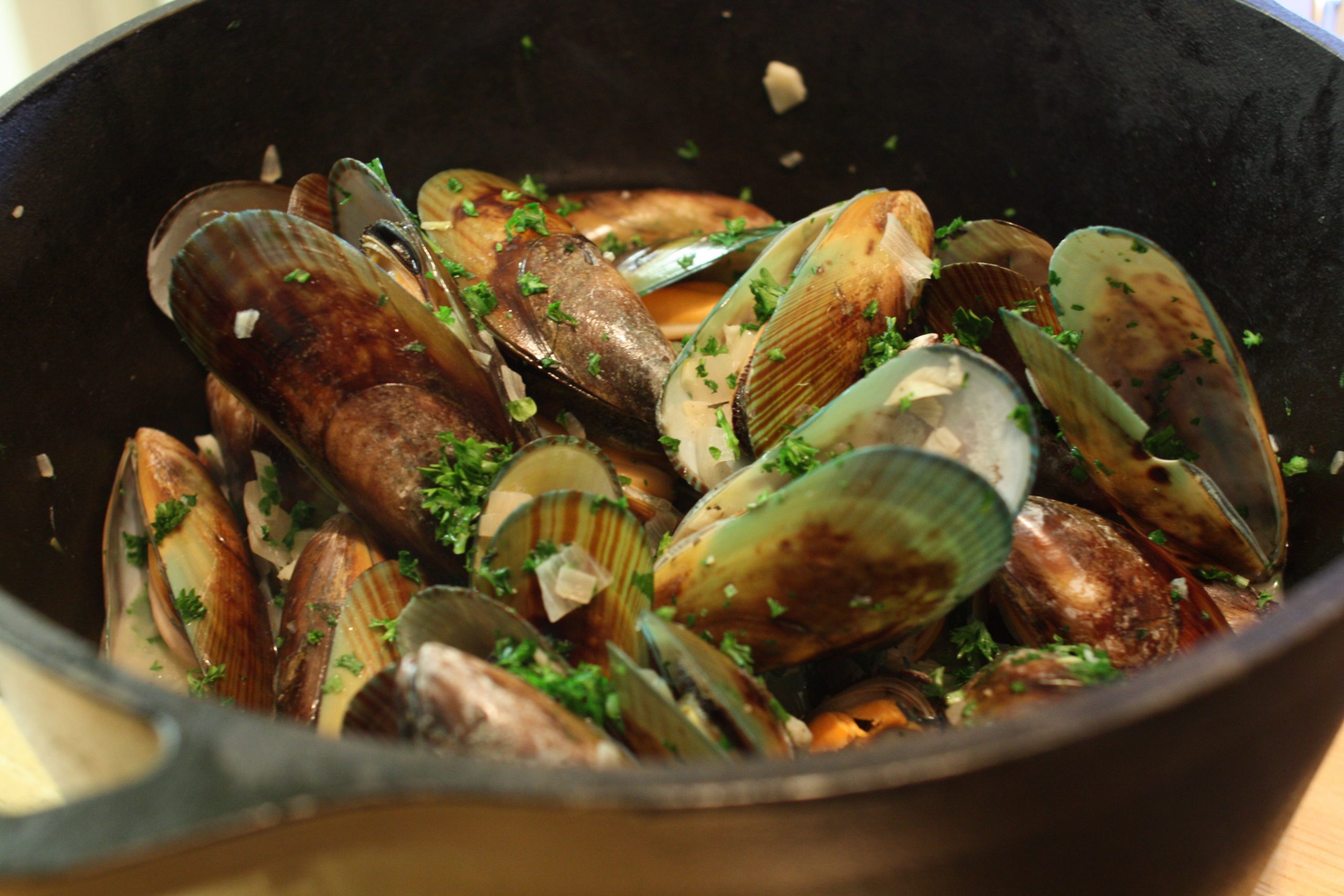 Des Moules irlandaises - naotakem - cc