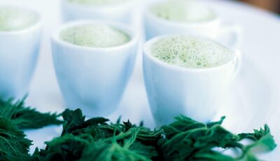 nettle soup 1 scaled