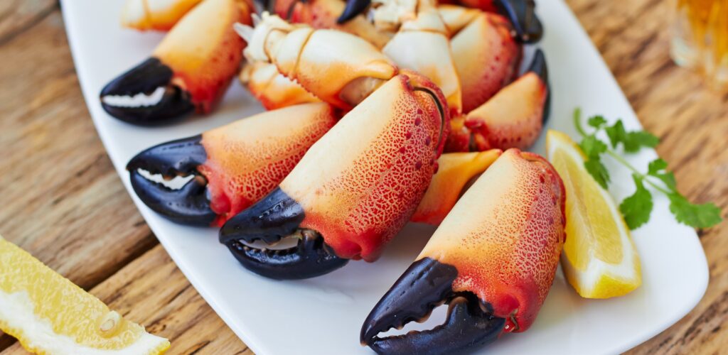 Crab claws Irish speciality Guide
