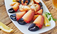 pinces de crabes 1