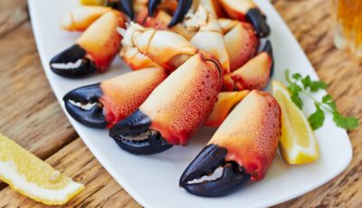 pinces de crabes 1