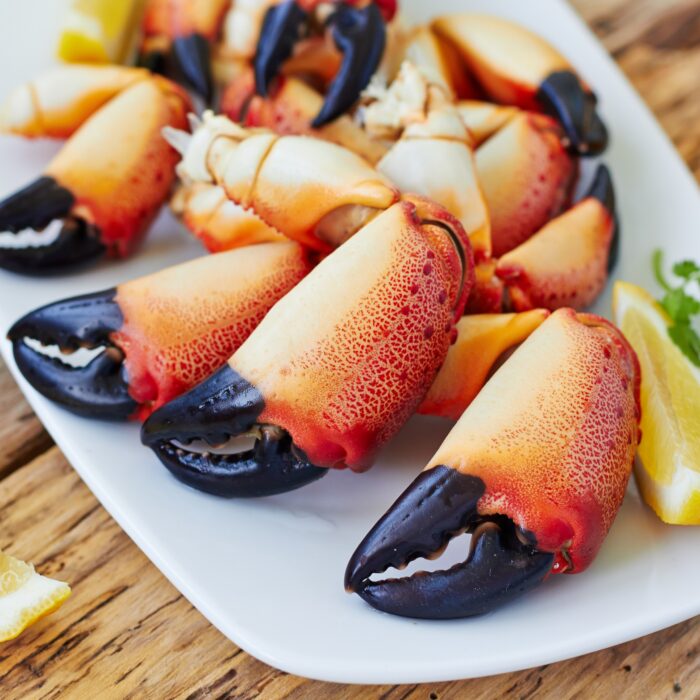 pinces de crabes 1