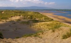 strandhill beach 2