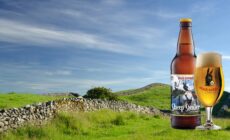 black donkey brewing ltd