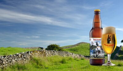 black donkey brewing ltd