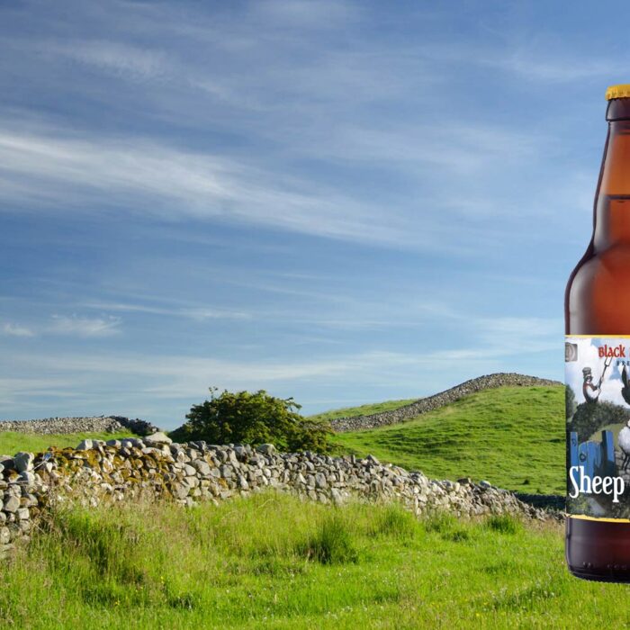 black donkey brewing ltd