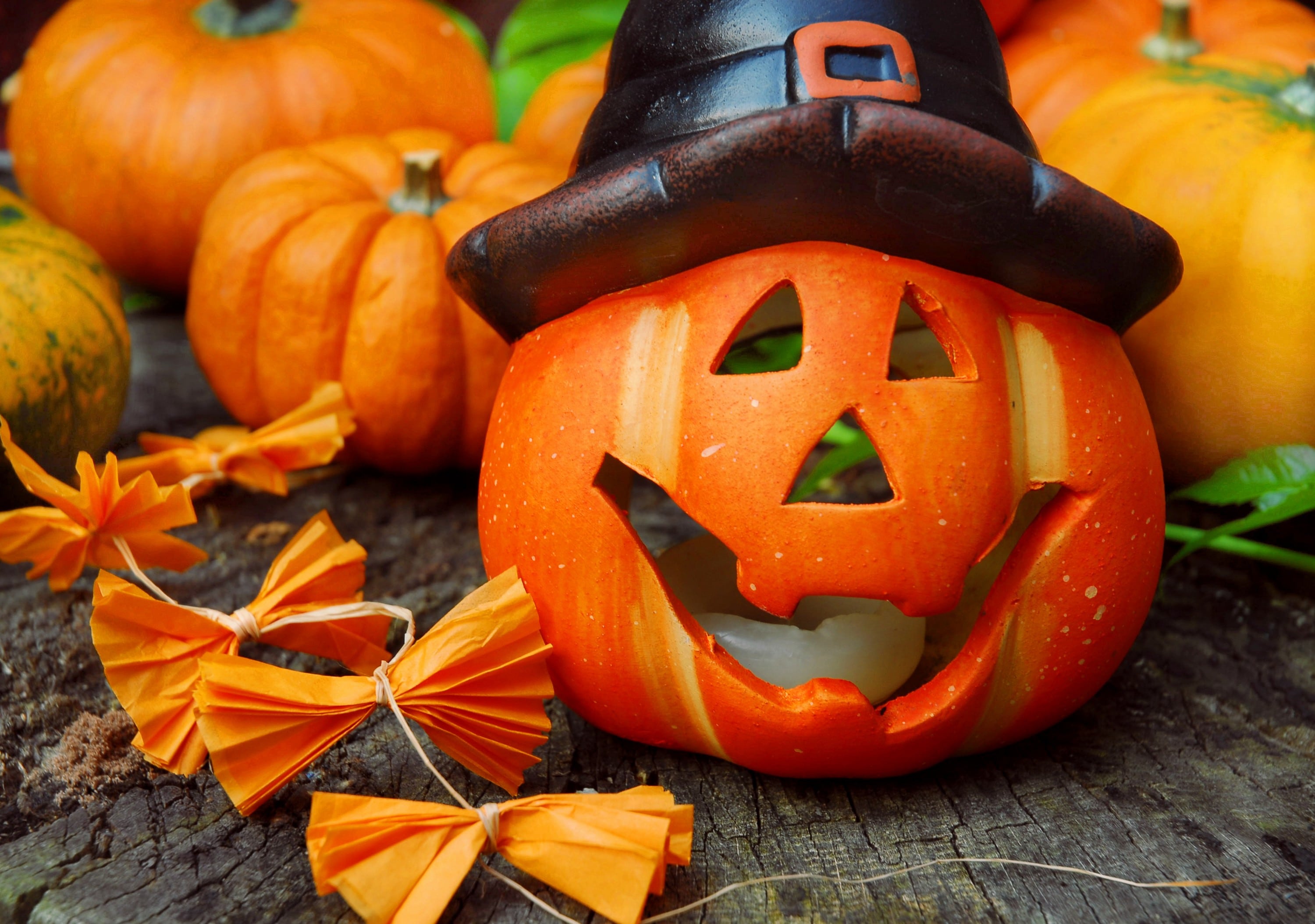 Une citrouille d'Halloween - © Sonja Birkelbach