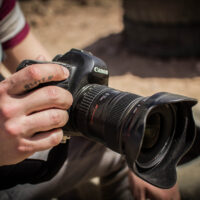 Photograph