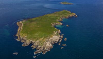 great saltee island