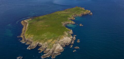 great saltee island