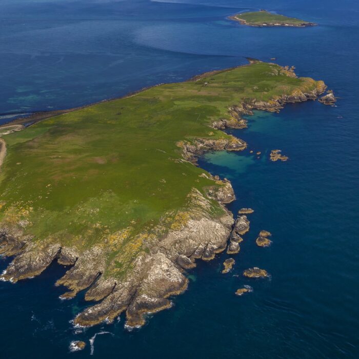 great saltee island
