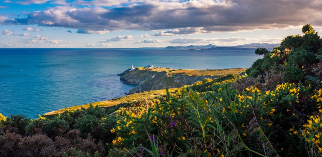 Howth Head - © Evgeni 