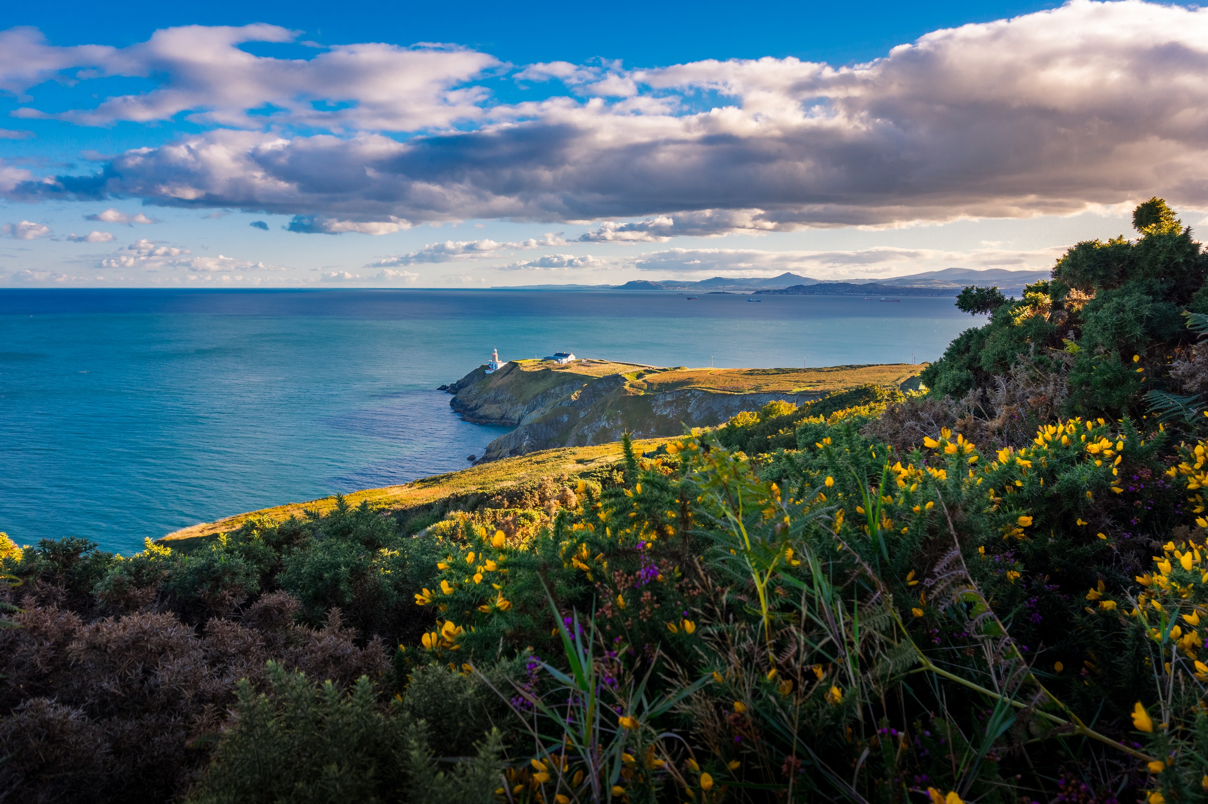 Howth Head - © Evgeni 