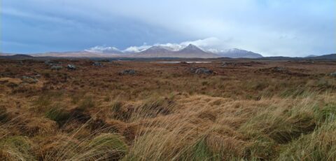 roundstone bog