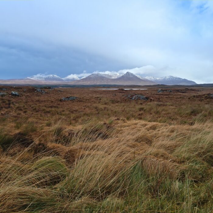 roundstone bog