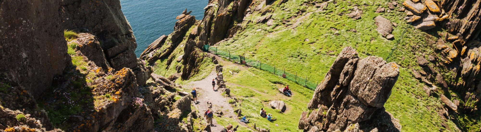 Type of stay in Ireland