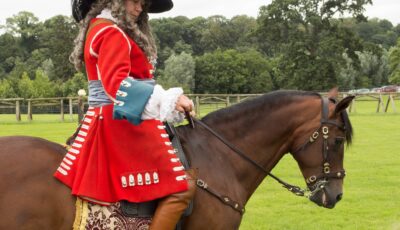 battle of boyne visitor centre