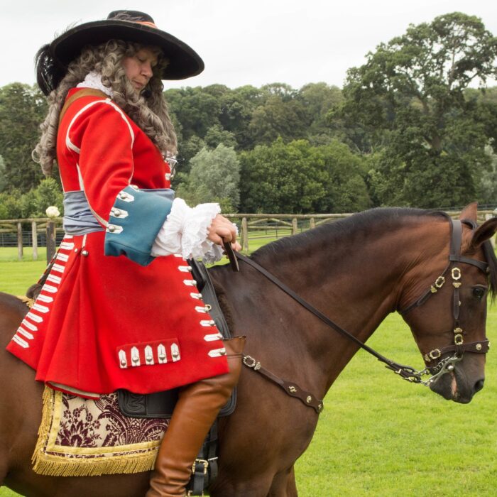 battle of boyne visitor centre
