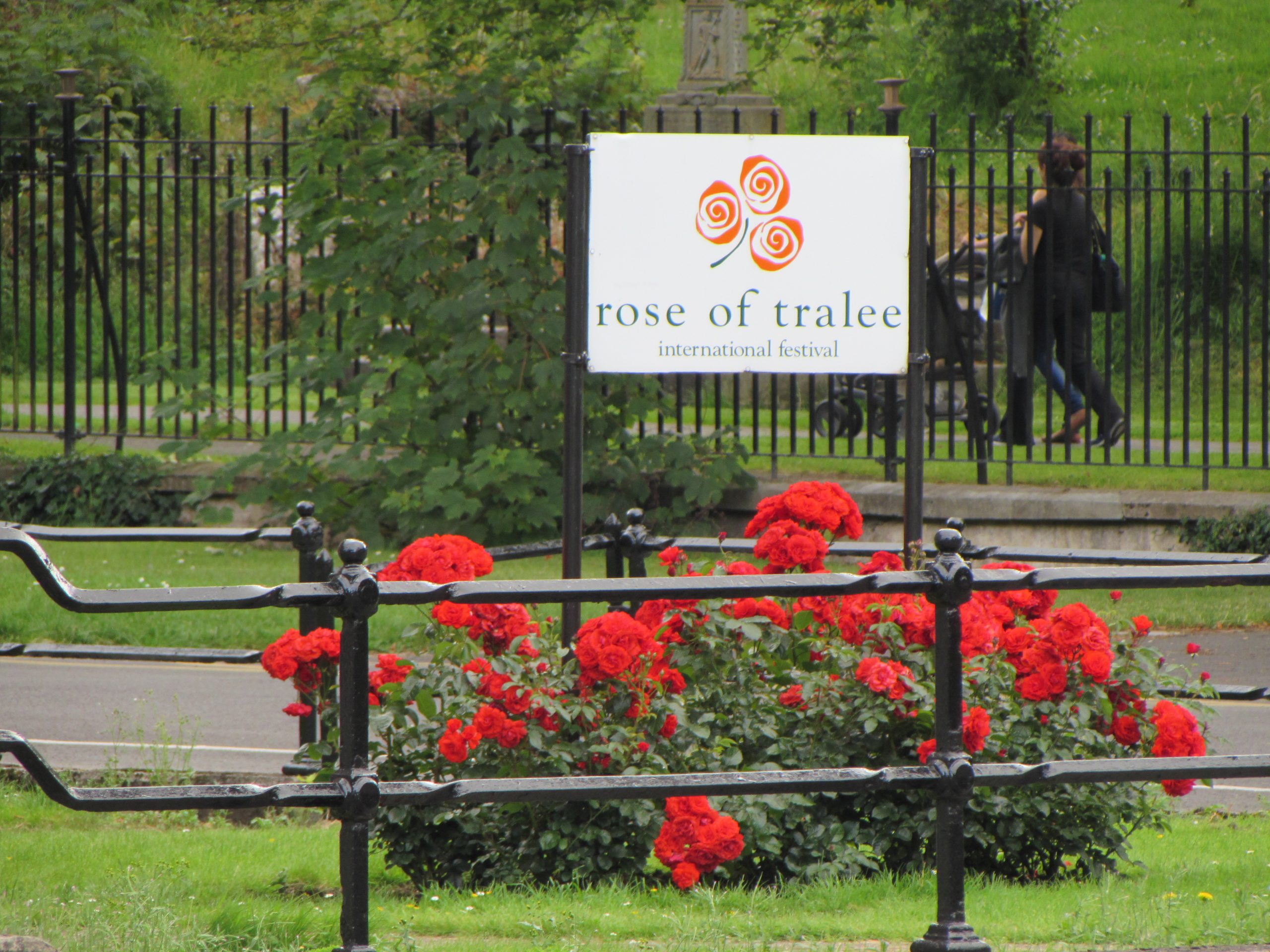 The Rose of Tralee