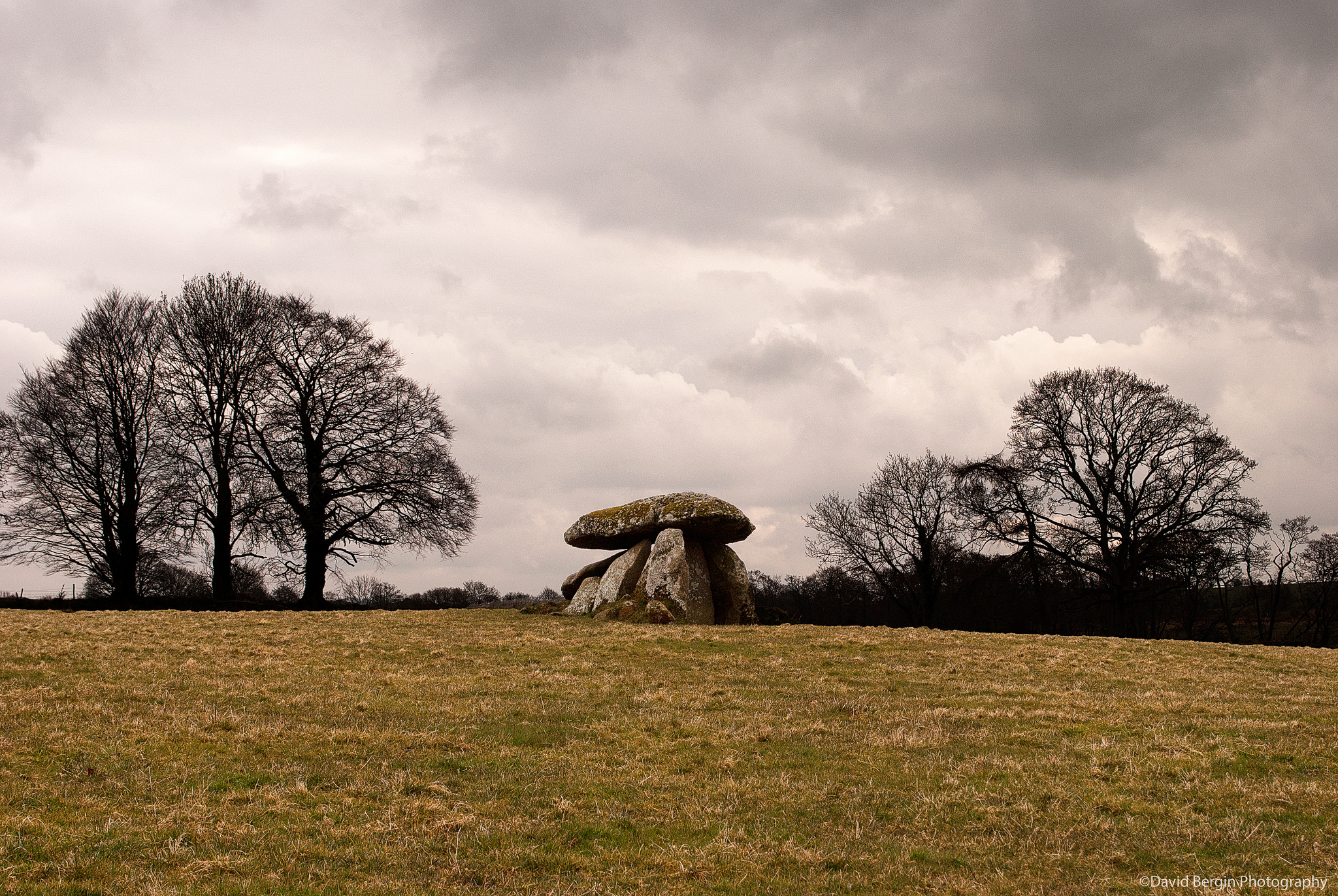 Le Dolmen de Haroldstown - David Bergin - cc