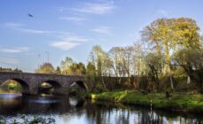 shaws bridge 1