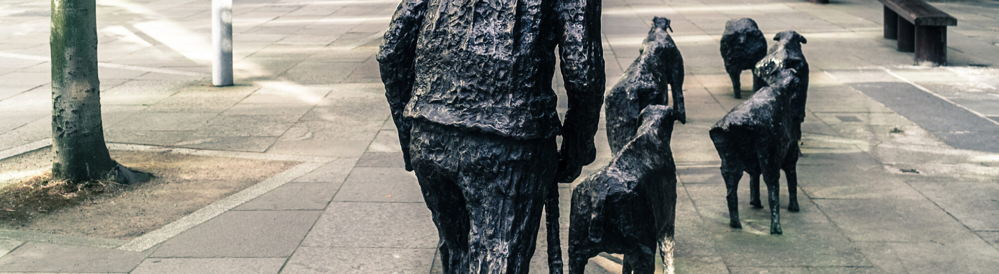 The Sheep on the Road