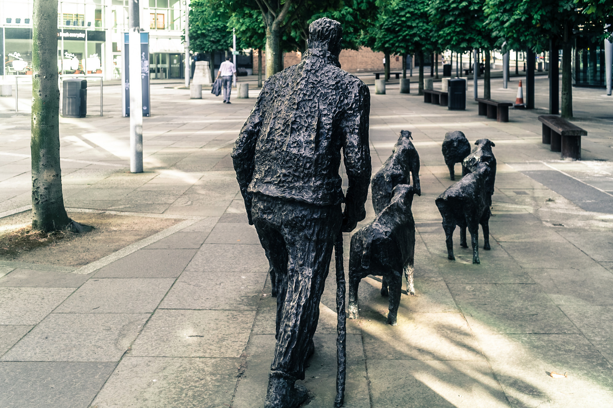 La Sheep on the Road - William Murphy - cc