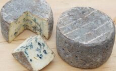 kearney blue