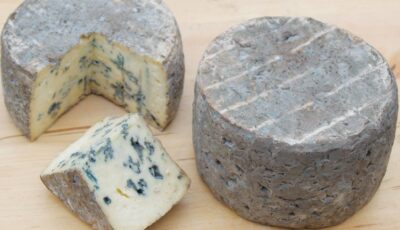 kearney blue