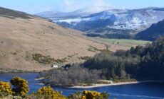 lough dan 1