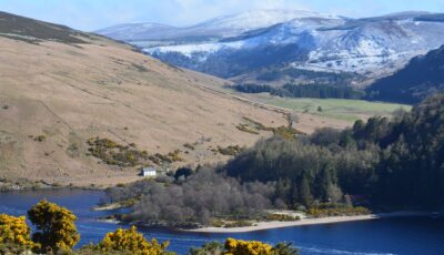 lough dan 1