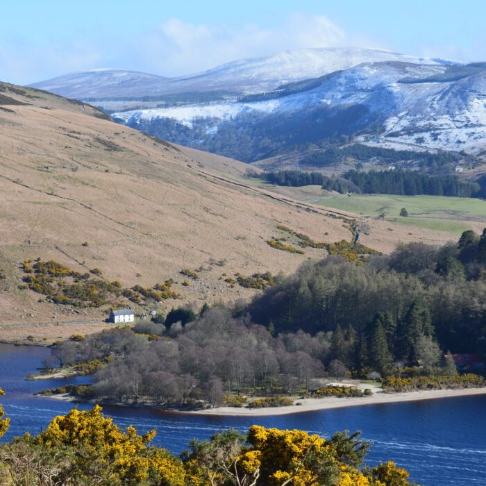 lough dan 1