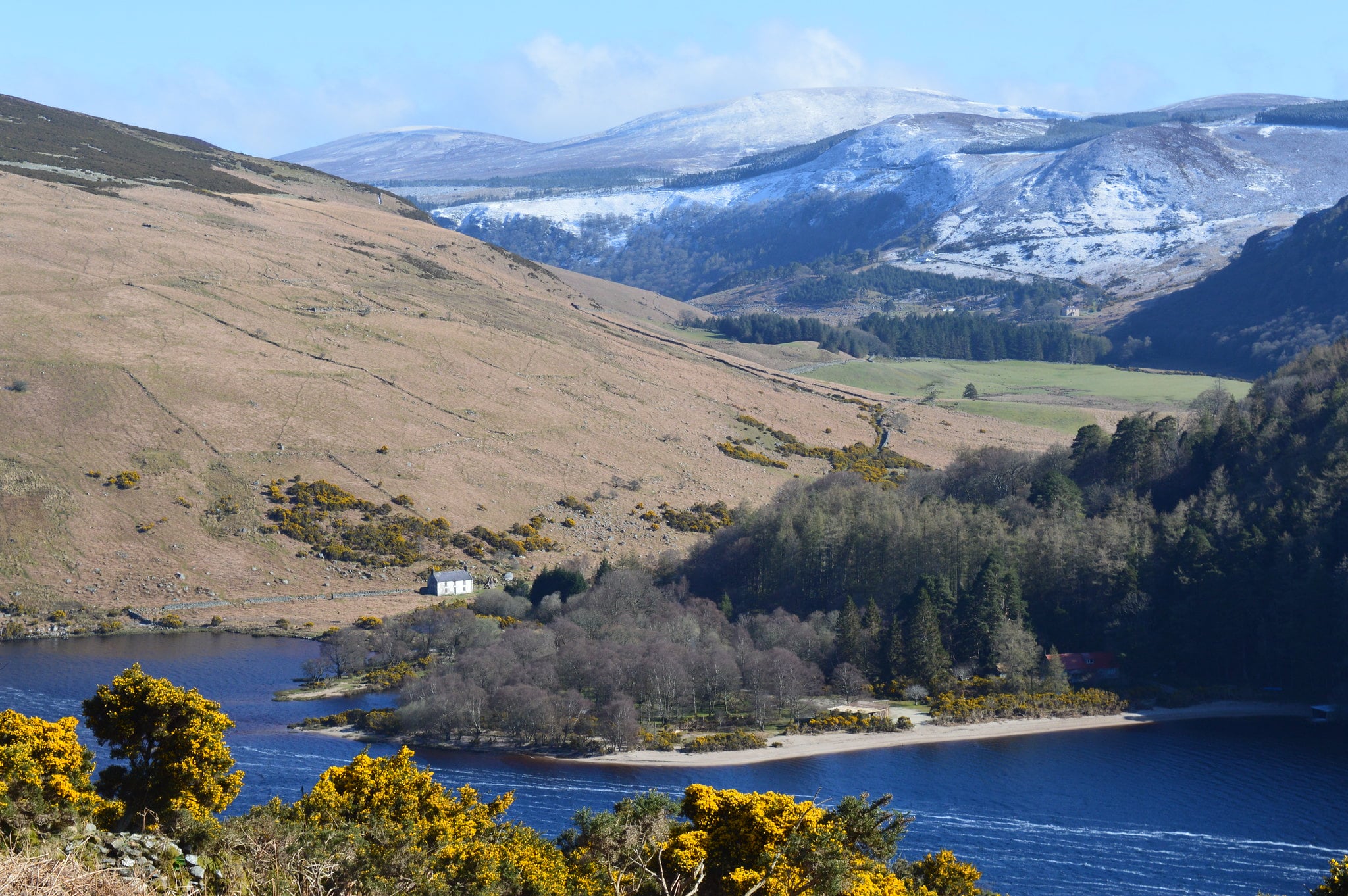 Le Lough Dan - Panpan Lin - cc