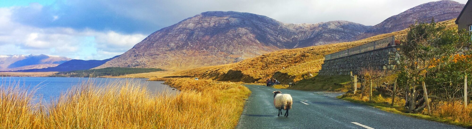 Irish symbols