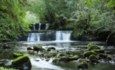 fowley falls 1