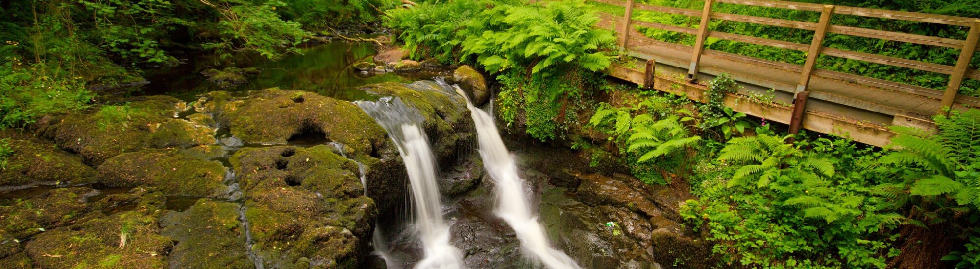 Glenariff Forest Park