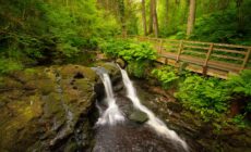glenariff forest park 3