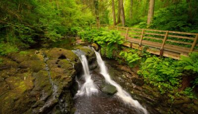 glenariff forest park 3