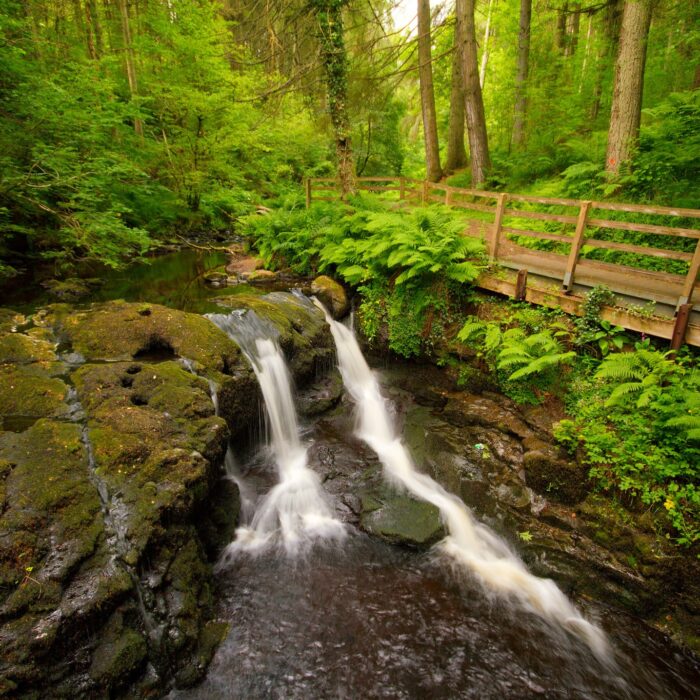 glenariff forest park 3